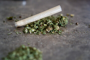 Pure legal Dried Marjiuana ganja marjiuana joint detail