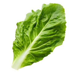 lettuce leaf isolated on transparent background Generative Ai