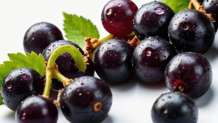 Ripe black currants, some still on the branch, isolated on a white background