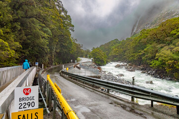 The Hollyford River (Whakatipu Ka Tuka), seen from a bridge over a swollen Falls Creek, rages...