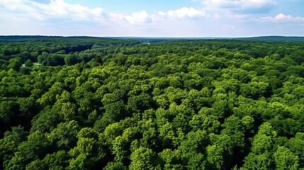 Drone captures green forest canopy for carbon neutrality efforts in nature conservation - obrazy, fototapety, plakaty