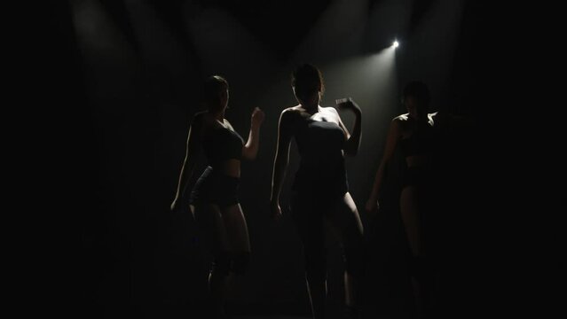 Silhouette of sexy women on a dark background dancing modern dances in the smoke. Night entertainment concept, modern dance style, advertising.