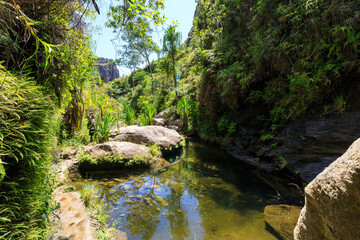 Naklejka na ściany i meble river in the canyon of isalo national park, Madagascar