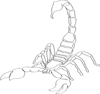 Scorpion single line art drawing, continues line