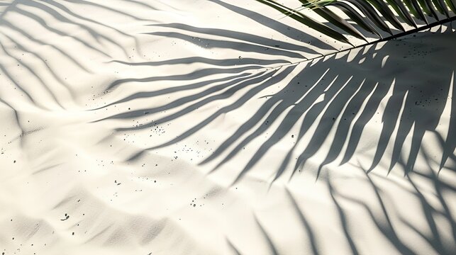 Palm leaf shadow on abstract white sand beach background, generative ai