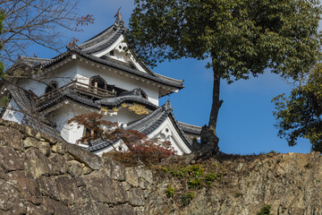 Fototapeta premium 日本 滋賀県彦根市にある彦根城の天守閣