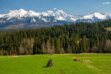 Spring view from podhale at The High Tatras Mountains (Vysoke Tatry, Tatry Wysokie) in sunny day...