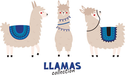 Cute colorful llamas. Cartoon mexican alpaca.