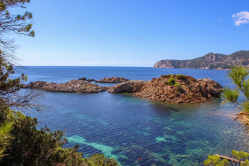 Fototapeta premium Paradise