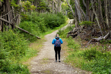 Obraz premium woman contemplating and walking through beautiful landscape of mountains forests rivers and bridges lifestyle of traveling ushuaia argentina end of the world