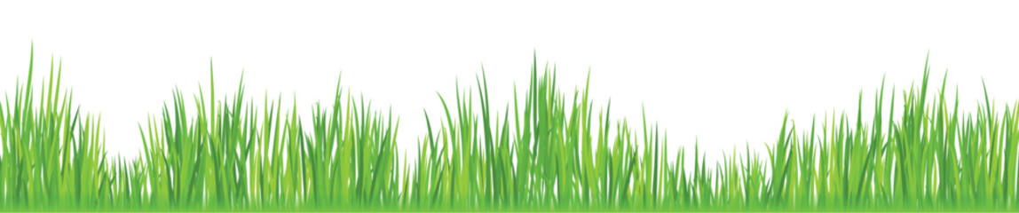 Vector of grass
