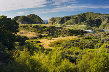 Fototapeta na wymiar Wharariki, Tasman, Südinsel, Neuseeland