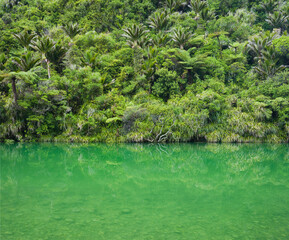 Pororari River, Paparoa Nationalpark, West Coast, S&uuml;dinsel, Neuseeland