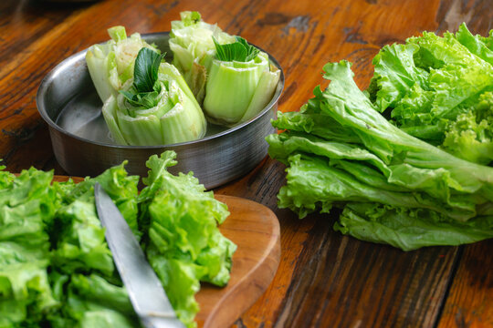 regrow lettuce by putting lettuce head on a bowl fill with water, concept of growing your food and zero waste