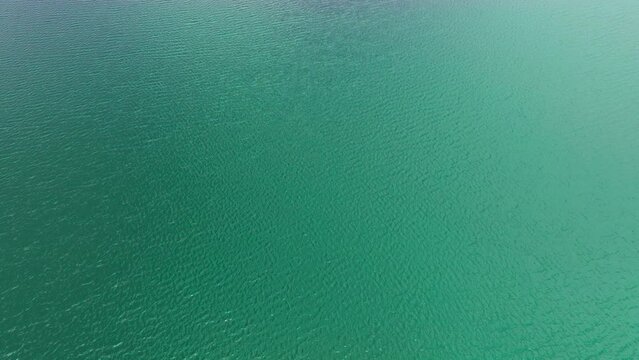 Expansive aerial shot of vibrant green waters, highlighting the vastness and vivid colors of natural aquatic landscapes