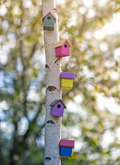 many colorful birdhouses on a tree trunk in a spring sunny garden are waiting for the arrival of migratory birds