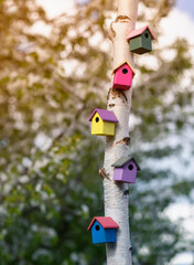 many colorful birdhouses on a tree trunk in a spring sunny garden are waiting for the arrival of migratory birds - 758088090