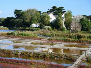 Sea water salt pans, near city le Croisic, France,  are used for the old artisan salt production in a traditional way, Houses in the background