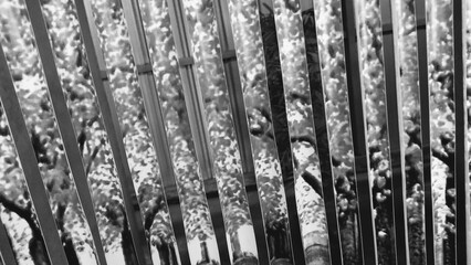 Obraz premium fence