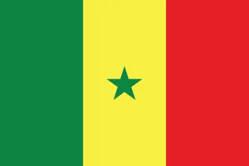 Foto op Canvas Vector Image of Senegal Flag. Senegal Flag. National Flag of Senegal. Senegal flag illustration. Senegal flag picture. Senegal flag image © d4_dsgns