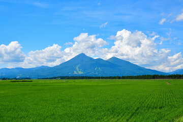 Fototapeta premium 夏の会津磐梯山（福島県）