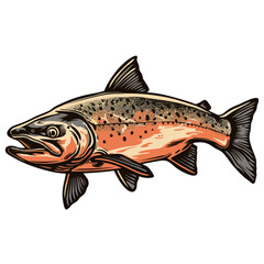 a drawing of a brown trout with brown spots on it
