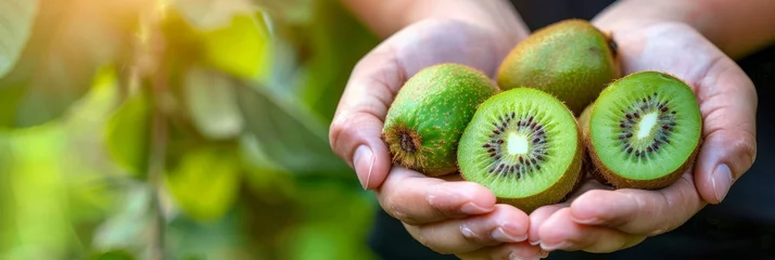 Poster Close up of vibrant kiwi held in hand, assorted kiwis on blurred background with space for text © Andrei