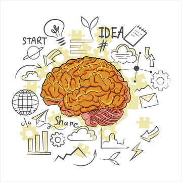 Wonderful realistic design image of brain consists of cerebral cortex, neurons. Concept of creative idea, creativity. Light bulb and globe, startup sketch around. Vector illustration