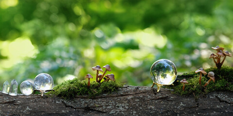 crystal balls in forest, abstract natural background. clear quartz gemstones for Magic Crystal...