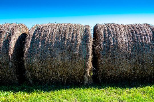 Rolos de Feno em fazenda