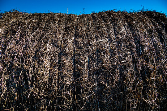 Rolos de Feno em fazenda