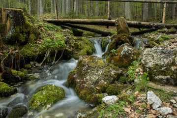 waterfall in the forest