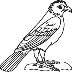 Bird coloring pages. Bird outline vector for coloring book