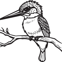 Fototapeta premium Bird coloring pages. Bird outline vector for coloring book