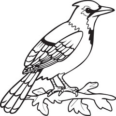 Fototapeta premium Bird coloring pages. Bird outline vector for coloring book