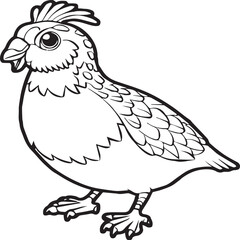 Bird coloring pages. Bird outline vector for coloring book