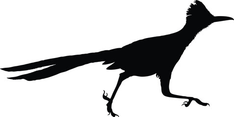Cleanly drawn road runner silhouette.