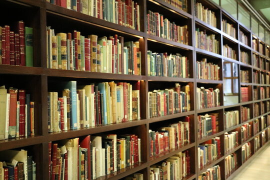 Libros en estante
