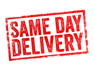 Same Day Delivery - service provided by businesses, where they guarantee to deliver a product or service on the same day that the order is placed, text concept stamp