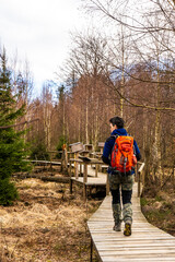 Weg der Wildnis in der Sächsischen Schweiz 1