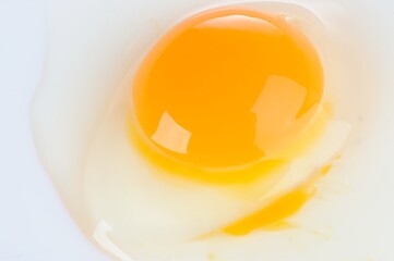Egg Yolk and White