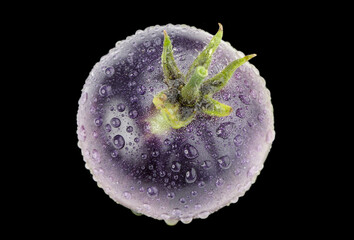 Genetically Modified Purple Tomato with Water Drops on Black Background