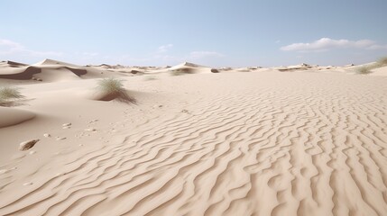 Beach or Desert Sand Cut Out

