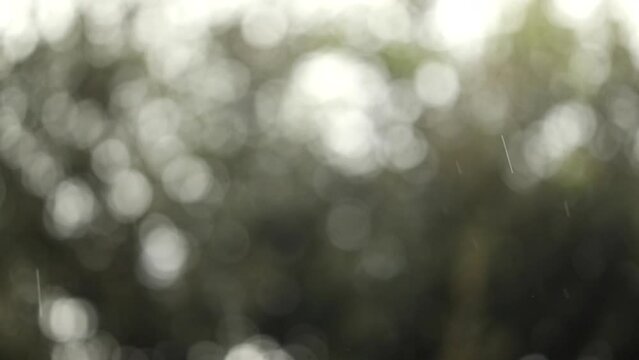composizione macro che mostra gocce di pioggia che cadono lentamente dal cielo, con uno sfondo completamente sfuocato e ben illuminato, con sfumature di verde e bianco e l'effetto bokeh
