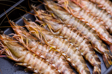 Fresh shrimp prepare for cooking - 758123085
