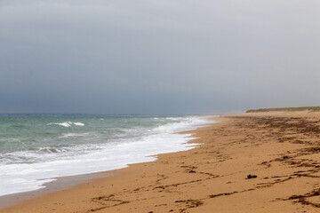 waves on the beach in the morning