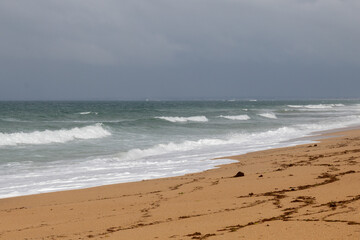 waves on the beach in the morning