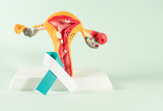Cervical cancer awareness month banner with teal and white ribbon awareness.