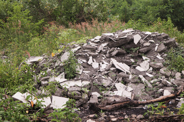pieces of wood immortalized through photos in the afternoon