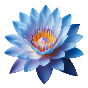 blue water lily isolated on transparent background PNG Image 